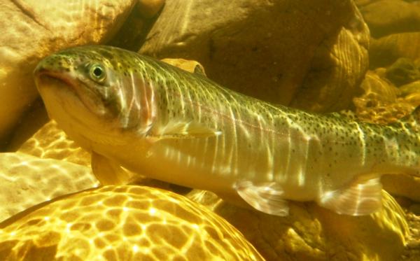 Smile for the camera