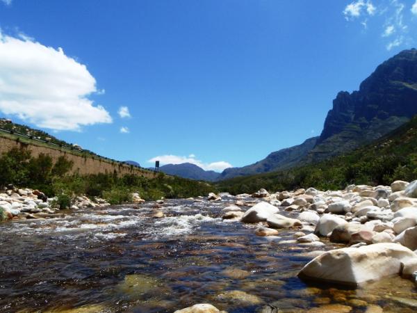 The place where it all happens